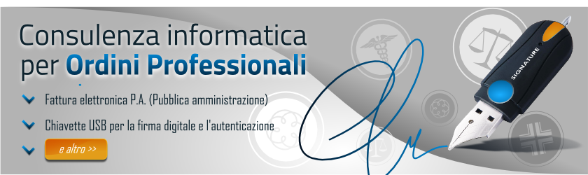 consulenza informatica per ordini professionali